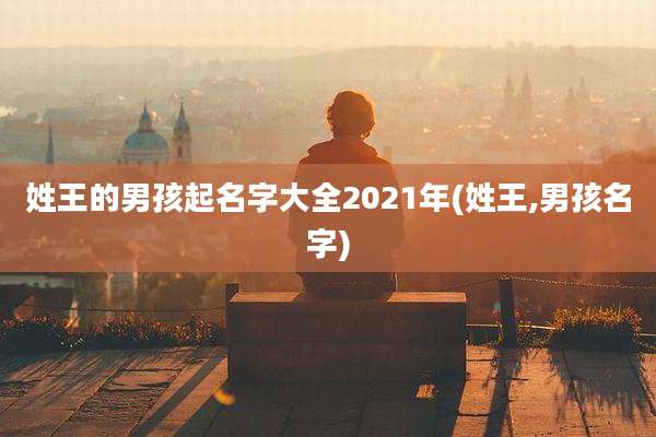 姓王的男孩起名字大全2021年(姓王,男孩名字)
