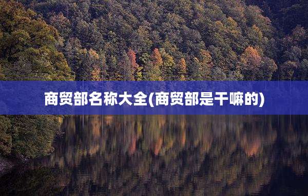 商贸部名称大全(商贸部是干嘛的)