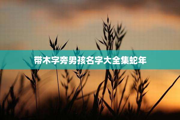 带木字旁男孩名字大全集蛇年