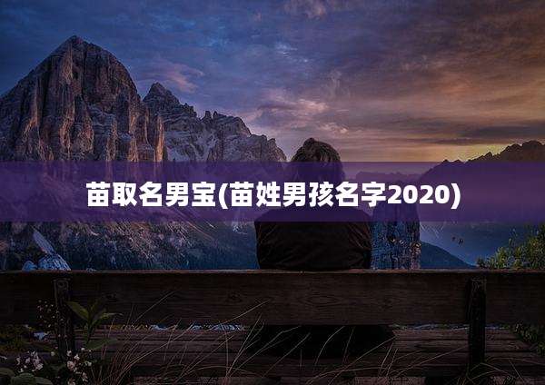 苗取名男宝(苗姓男孩名字2020)