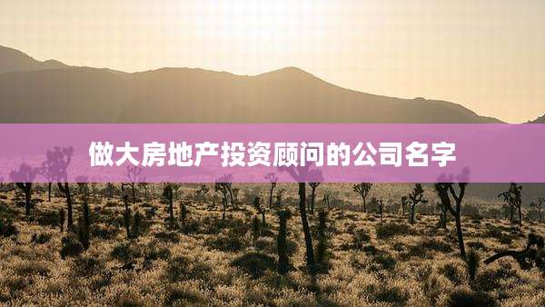 做大房地产投资顾问的公司名字