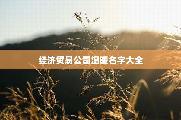 经济贸易公司温暖名字大全