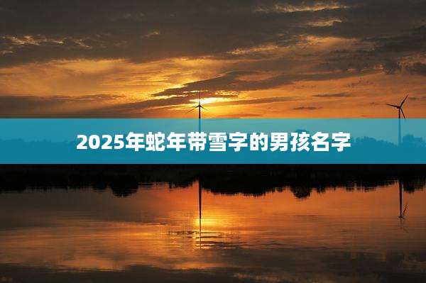 2025年蛇年带雪字的男孩名字