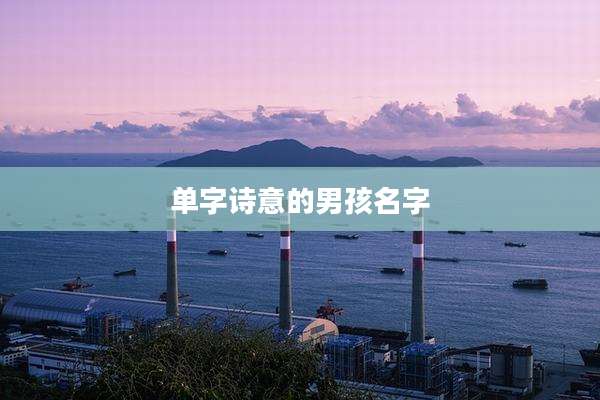 单字诗意的男孩名字