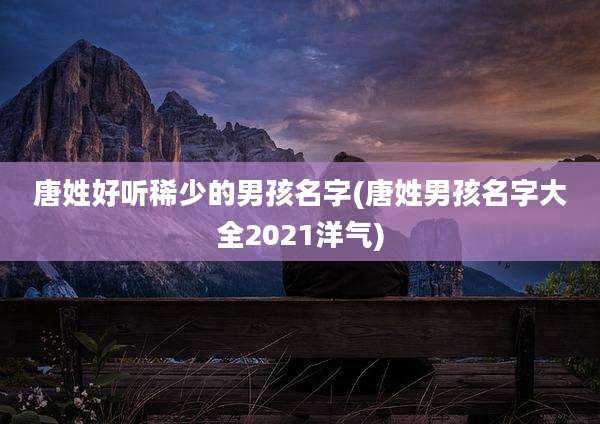 唐姓好听稀少的男孩名字(唐姓男孩名字大全2021洋气)