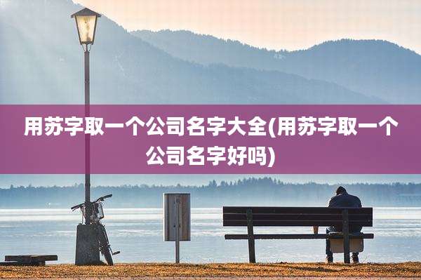 用苏字取一个公司名字大全(用苏字取一个公司名字好吗)