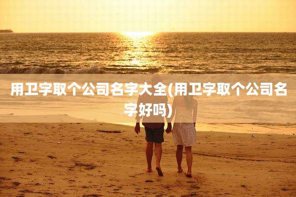 用卫字取个公司名字大全(用卫字取个公司名字好吗)