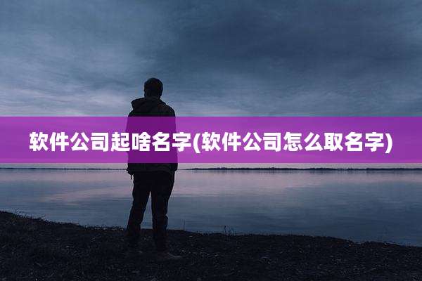 软件公司起啥名字(软件公司怎么取名字)