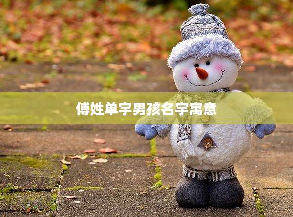 傅姓单字男孩名字寓意