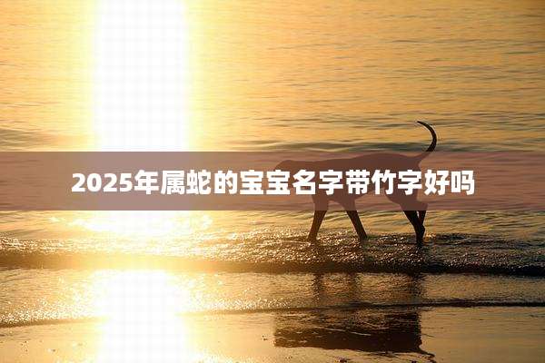 2025年属蛇的宝宝名字带竹字好吗