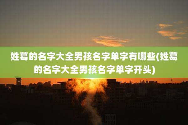 姓葛的名字大全男孩名字单字有哪些(姓葛的名字大全男孩名字单字开头)