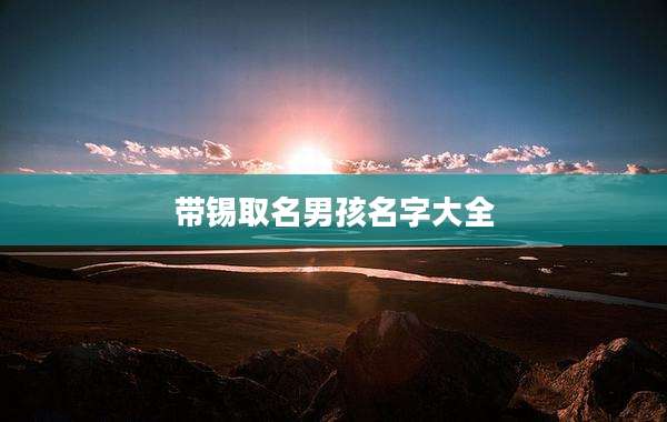 带锡取名男孩名字大全