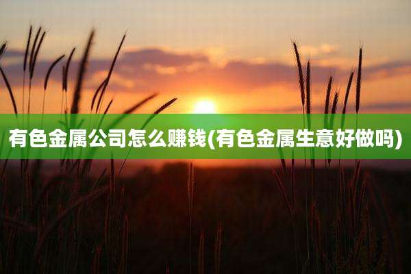 有色金属公司怎么赚钱(有色金属生意好做吗)