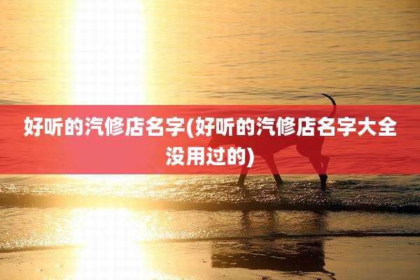 好听的汽修店名字(好听的汽修店名字大全没用过的)