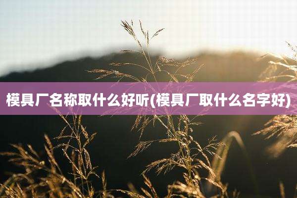 模具厂名称取什么好听(模具厂取什么名字好)