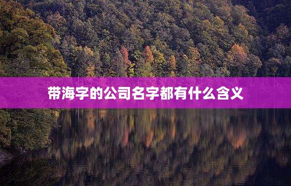带海字的公司名字都有什么含义