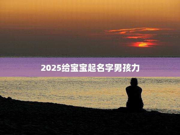 2025给宝宝起名字男孩力
