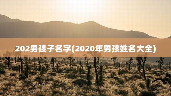 202男孩子名字(2020年男孩姓名大全)