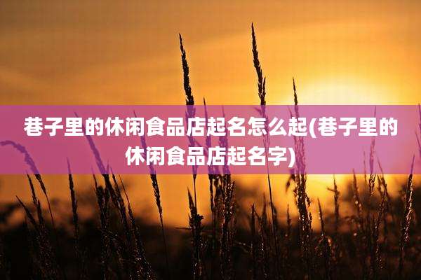 巷子里的休闲食品店起名怎么起(巷子里的休闲食品店起名字)