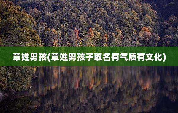 章姓男孩(章姓男孩子取名有气质有文化)
