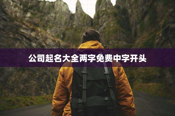 公司起名大全两字免费中字开头