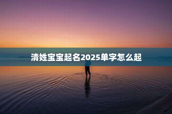 清姓宝宝起名2025单字怎么起