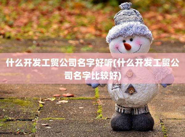什么开发工贸公司名字好听(什么开发工贸公司名字比较好)