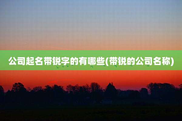 公司起名带锐字的有哪些(带锐的公司名称)