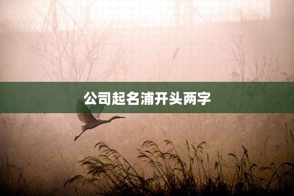 公司起名浦开头两字
