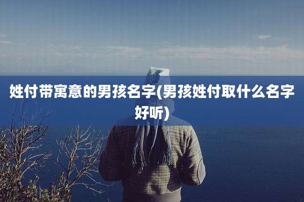 姓付带寓意的男孩名字(男孩姓付取什么名字好听)