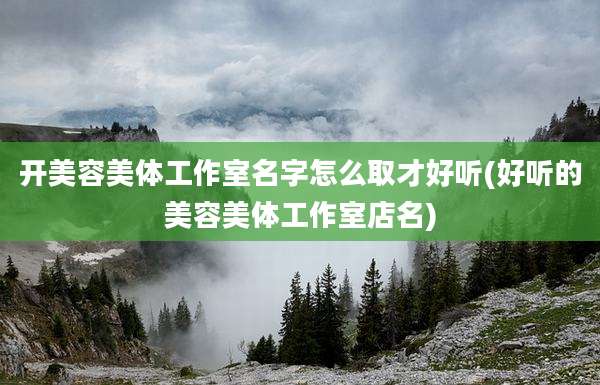 开美容美体工作室名字怎么取才好听(好听的美容美体工作室店名)