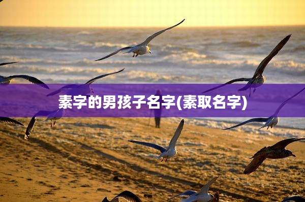 素字的男孩子名字(素取名字)
