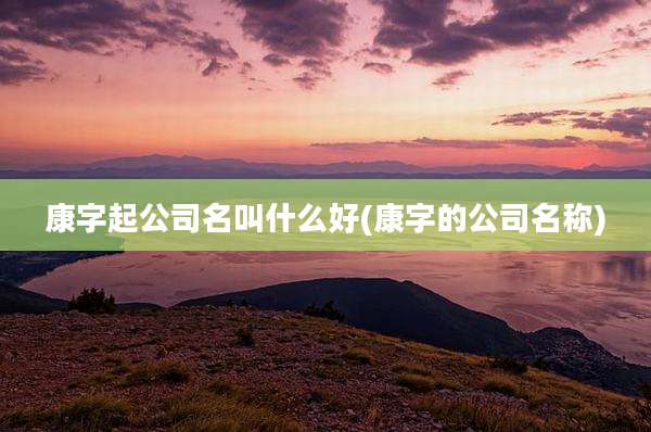 康字起公司名叫什么好(康字的公司名称)