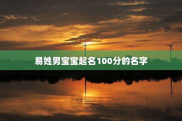 易姓男宝宝起名100分的名字
