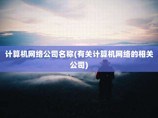 计算机网络公司名称(有关计算机网络的相关公司)