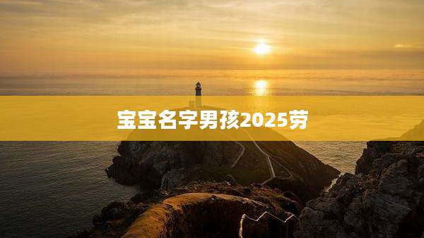 宝宝名字男孩2025劳