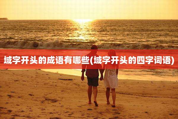 域字开头的成语有哪些(域字开头的四字词语)