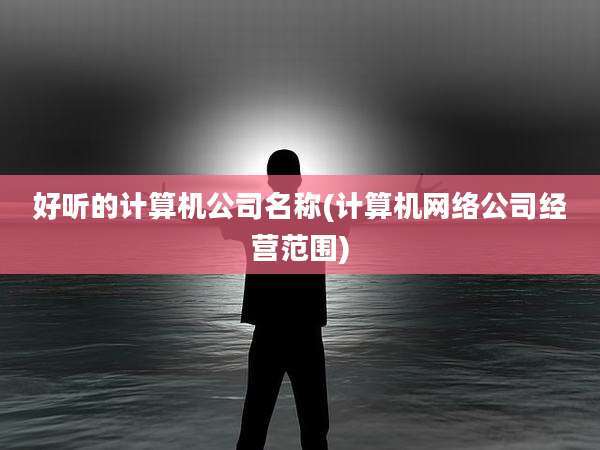 好听的计算机公司名称(计算机网络公司经营范围)