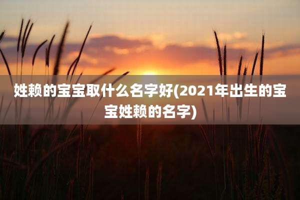 姓赖的宝宝取什么名字好(2021年出生的宝宝姓赖的名字)
