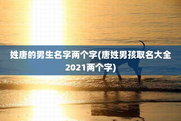 姓唐的男生名字两个字(唐姓男孩取名大全2021两个字)
