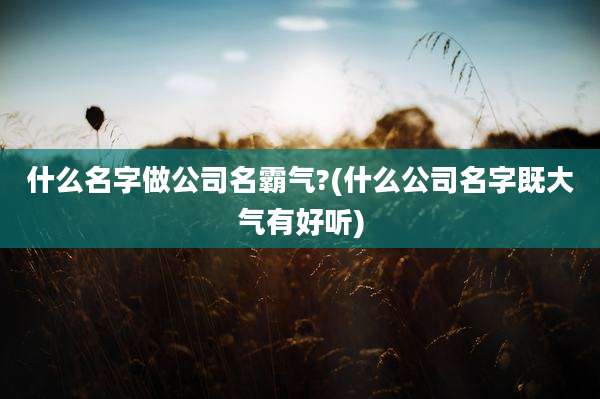 什么名字做公司名霸气?(什么公司名字既大气有好听)