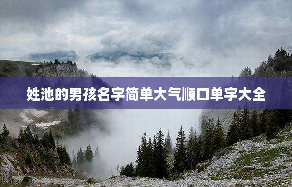 姓池的男孩名字简单大气顺口单字大全