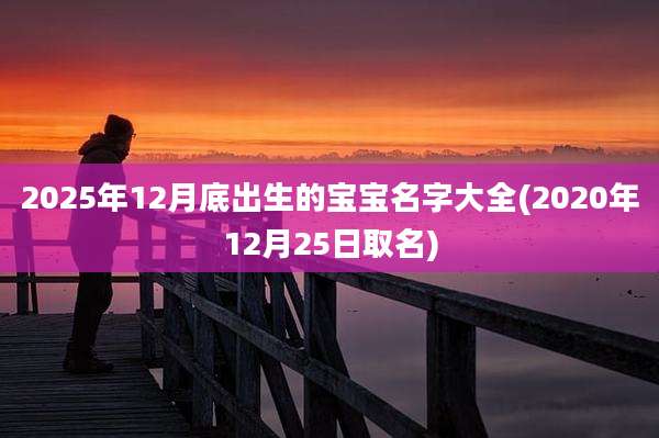 2025年12月底出生的宝宝名字大全(2020年12月25日取名)