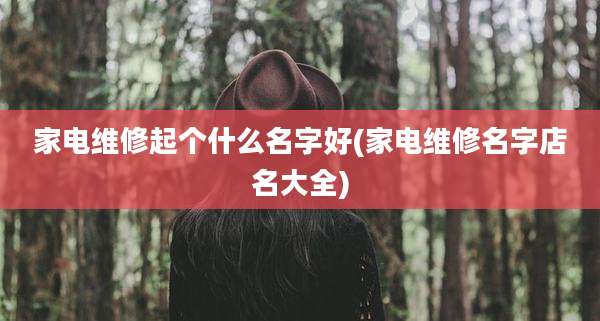 家电维修起个什么名字好(家电维修名字店名大全)