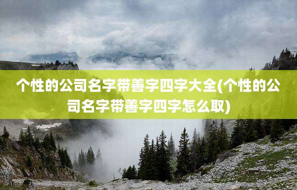 个性的公司名字带善字四字大全(个性的公司名字带善字四字怎么取)