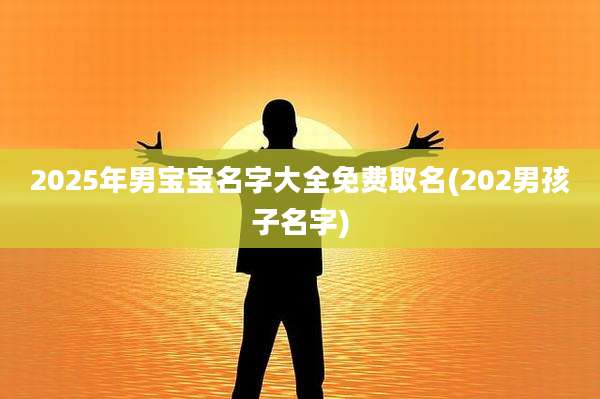 2025年男宝宝名字大全免费取名(202男孩子名字)