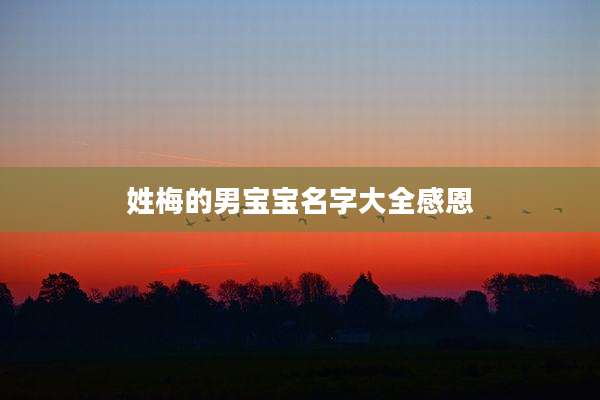 姓梅的男宝宝名字大全感恩