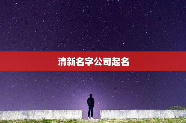 清新名字公司起名