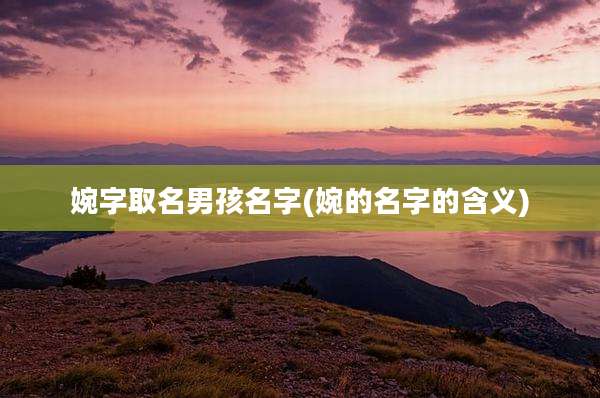 婉字取名男孩名字(婉的名字的含义)