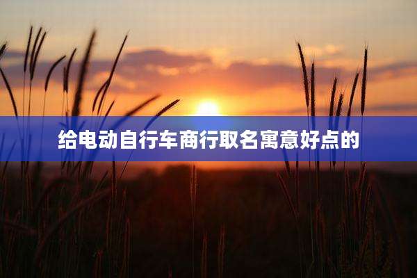 给电动自行车商行取名寓意好点的